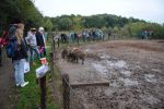 DSC_0127.JPG